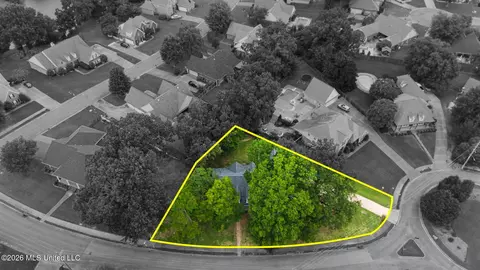 View/Area - 800 Cedar Xing, Hernando, MS 38632 photo 1 of 1