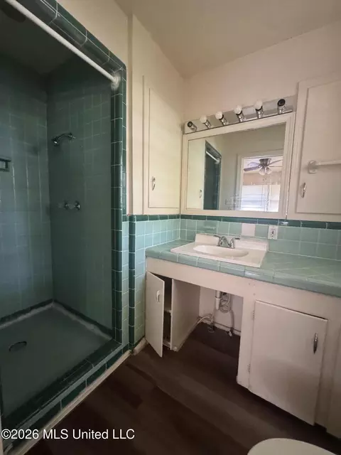 Bath - 245 Shady Cir, Jackson, MS 39204 photo 2 of 2