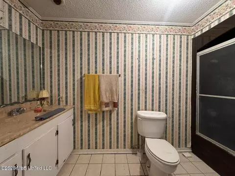 Bath - 2930 Dantzler St, Moss Point, MS 39563 photo 3 of 3