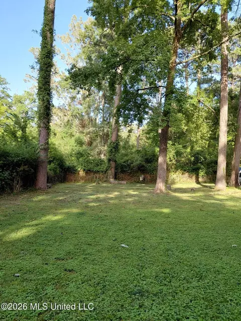 Exterior - 2354 Belvedere Dr, Jackson, MS 39204 photo 3 of 4
