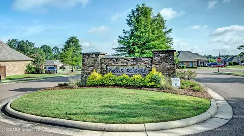 Other - 223 Bellamy Ct, Flowood, MS 39232 photo 12 of 13