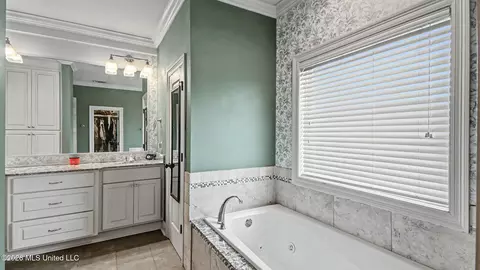 Bath - 223 Bellamy Ct, Flowood, MS 39232 photo 2 of 5