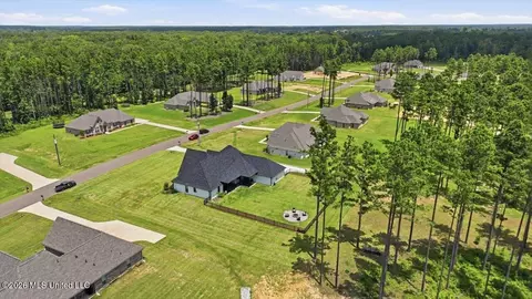 View/Area - 218 Lost Oak Ln, Brandon, MS 39047 photo 2 of 20