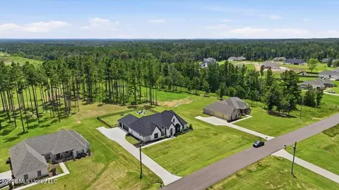 View/Area - 218 Lost Oak Ln, Brandon, MS 39047 photo 5 of 20