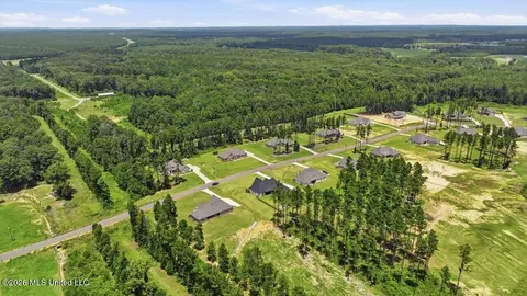 View/Area - 218 Lost Oak Ln, Brandon, MS 39047 photo 16 of 20