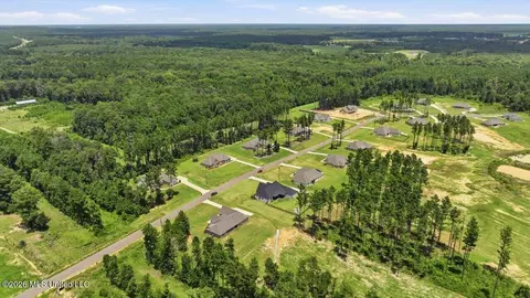 View/Area - 218 Lost Oak Ln, Brandon, MS 39047 photo 17 of 20