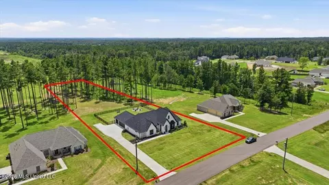 View/Area - 218 Lost Oak Ln, Brandon, MS 39047 photo 20 of 20
