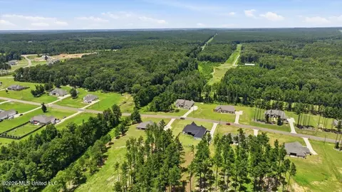 View/Area - 218 Lost Oak Ln, Brandon, MS 39047 photo 14 of 20