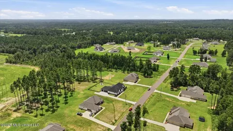 View/Area - 218 Lost Oak Ln, Brandon, MS 39047 photo 12 of 20