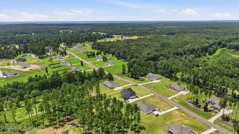 View/Area - 218 Lost Oak Ln, Brandon, MS 39047 photo 13 of 20