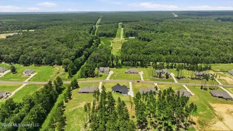 View/Area - 218 Lost Oak Ln, Brandon, MS 39047 photo 15 of 20