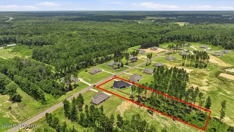View/Area - 218 Lost Oak Ln, Brandon, MS 39047 photo 19 of 20
