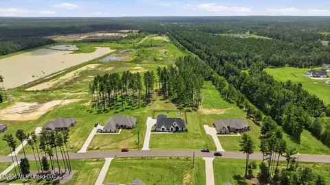 View/Area - 218 Lost Oak Ln, Brandon, MS 39047 photo 10 of 20