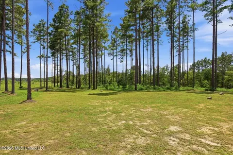 Exterior - 218 Lost Oak Ln, Brandon, MS 39047 photo 20 of 24