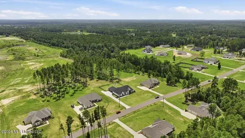 View/Area - 218 Lost Oak Ln, Brandon, MS 39047 photo 11 of 20