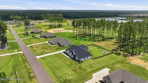 View/Area - 218 Lost Oak Ln, Brandon, MS 39047 photo 3 of 20
