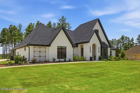 Exterior - 218 Lost Oak Ln, Brandon, MS 39047 photo 3 of 24