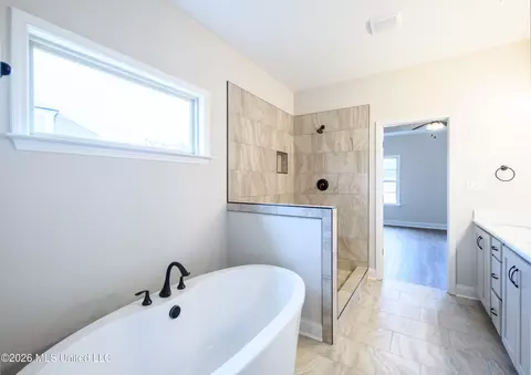 Bath - 7582 John Elliott Ln, Hernando, MS 38632 photo 3 of 5