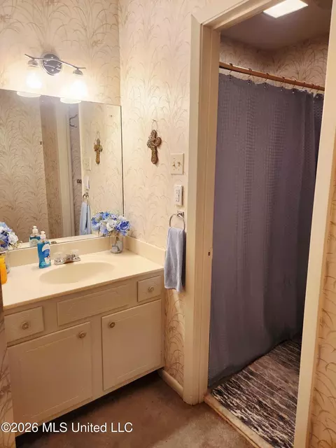 Bath - 5155 Wayneland Dr #M1, Jackson, MS 39211 photo 4 of 5