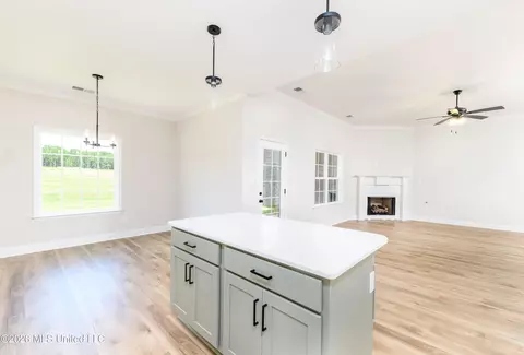 Entry Way - 7608 John Elliott Ln, Hernando, MS 38632 photo 3 of 3