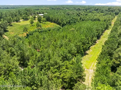Other - 167 Military Rd, Sandy Hook, MS 39478 photo 21 of 24