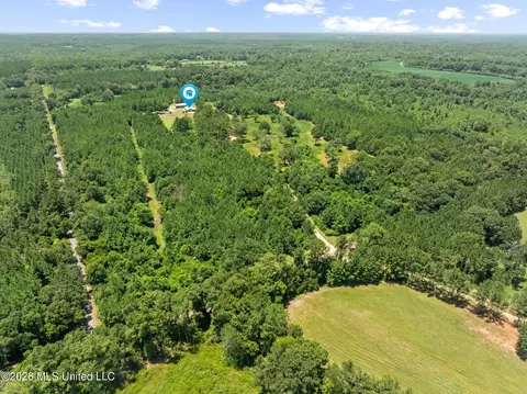 View/Area - 167 Military Rd, Sandy Hook, MS 39478 photo 4 of 6