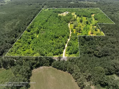 View/Area - 167 Military Rd, Sandy Hook, MS 39478 photo 3 of 6