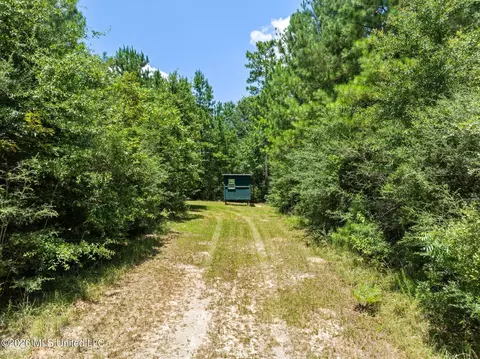 Other - 167 Military Rd, Sandy Hook, MS 39478 photo 19 of 24