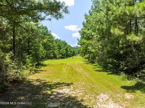 Other - 167 Military Rd, Sandy Hook, MS 39478 photo 20 of 24