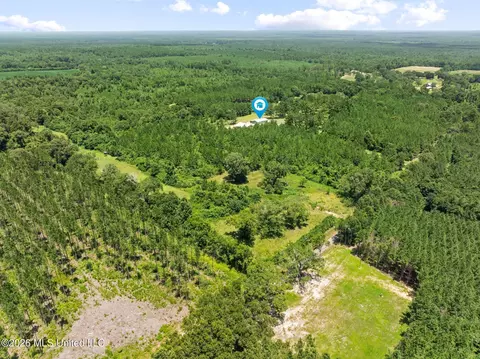 View/Area - 167 Military Rd, Sandy Hook, MS 39478 photo 5 of 6