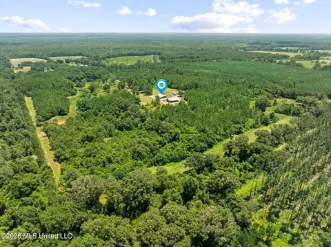 View/Area - 167 Military Rd, Sandy Hook, MS 39478 photo 6 of 6