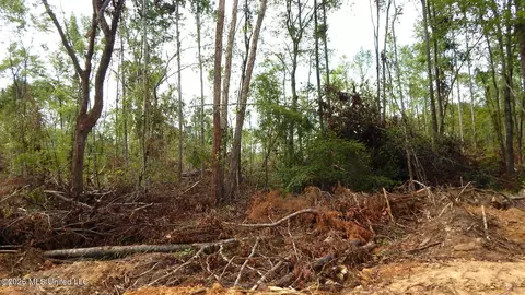 590 County Road 247, Bruce, MS 38915 photo 11