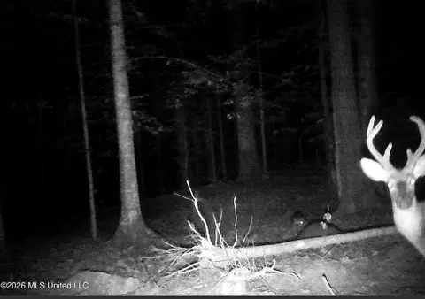 590 County Road 247, Bruce, MS 38915 photo 38