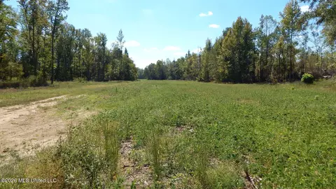 590 County Road 247, Bruce, MS 38915 photo 41
