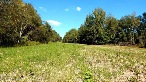 590 County Road 247, Bruce, MS 38915 photo 50