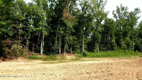590 County Road 247, Bruce, MS 38915 photo 23
