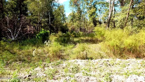 590 County Road 247, Bruce, MS 38915 photo 52