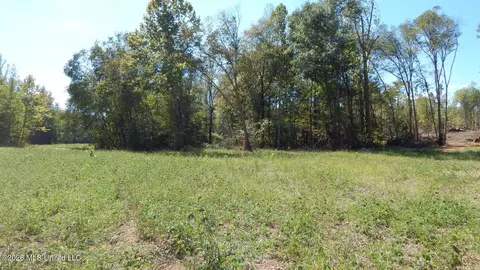 590 County Road 247, Bruce, MS 38915 photo 43