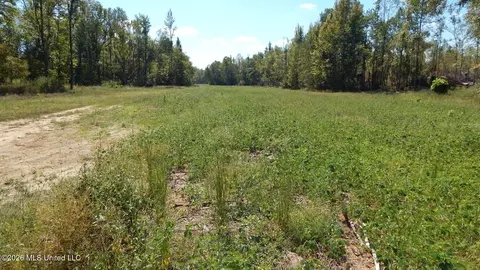 590 County Road 247, Bruce, MS 38915 photo 42