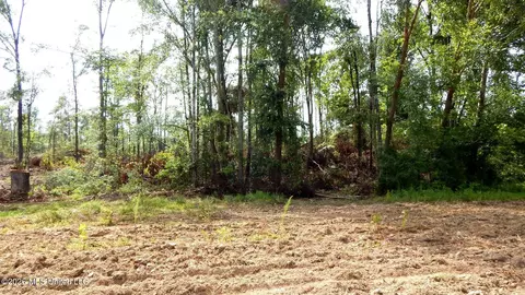 590 County Road 247, Bruce, MS 38915 photo 14