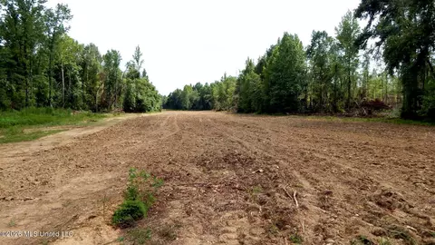 590 County Road 247, Bruce, MS 38915 photo 6
