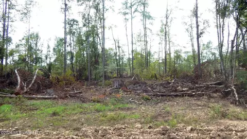 590 County Road 247, Bruce, MS 38915 photo 12