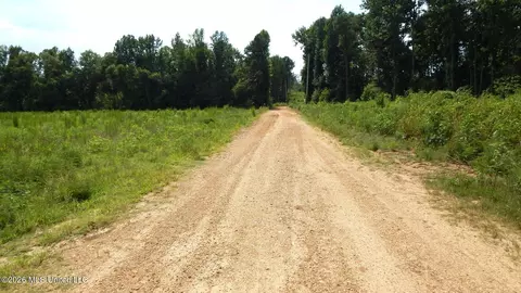 590 County Road 247, Bruce, MS 38915 photo 5