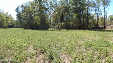 590 County Road 247, Bruce, MS 38915 photo 44