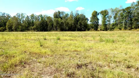 590 County Road 247, Bruce, MS 38915 photo 54