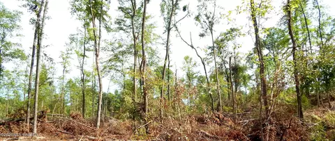 590 County Road 247, Bruce, MS 38915 photo 20
