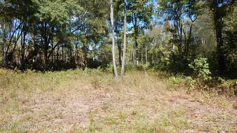 590 County Road 247, Bruce, MS 38915 photo 48