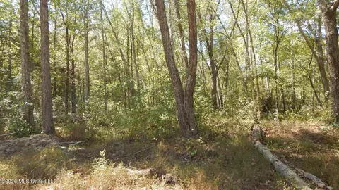 590 County Road 247, Bruce, MS 38915 photo 45