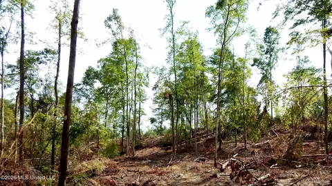 590 County Road 247, Bruce, MS 38915 photo 18
