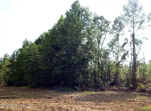 590 County Road 247, Bruce, MS 38915 photo 15